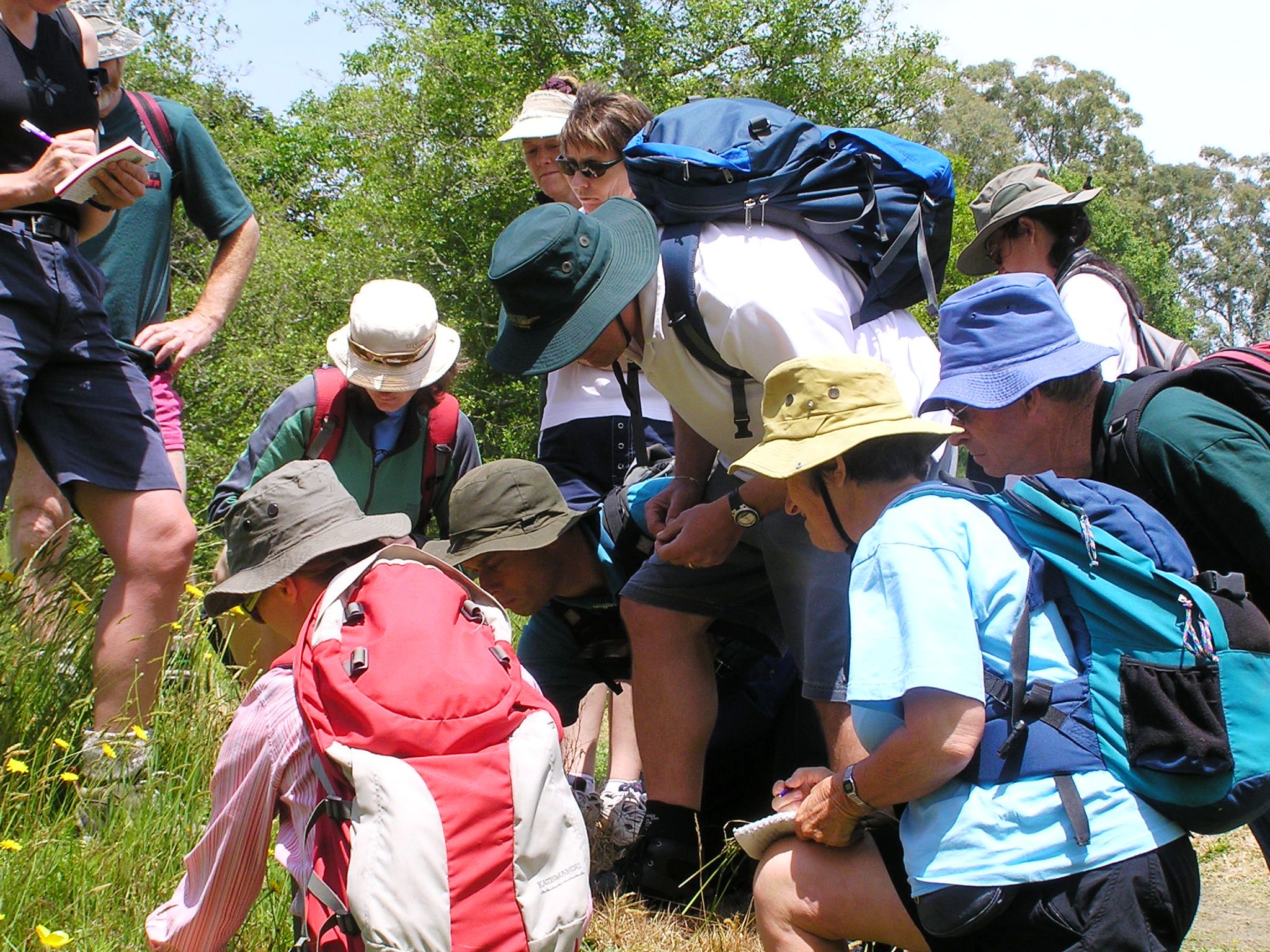 Botanists huddle to consider the Rules